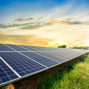 Solar panels in a field of grass