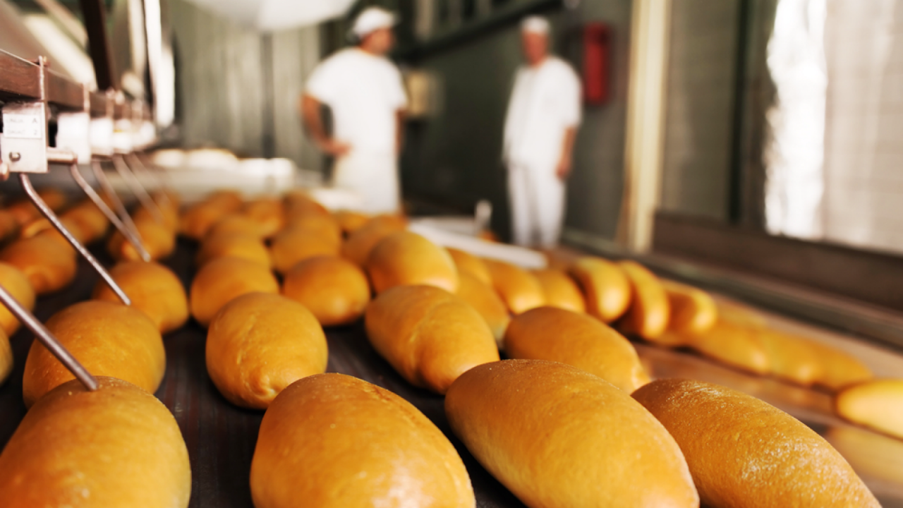 Großserienproduktion von frischen Brötchen in einer Bäckerei mit zwei Bäckern im Hintergrund.